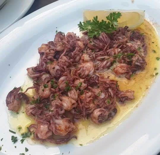 Squid Heads